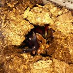 いよいよ・・・