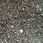 たまご発見！！